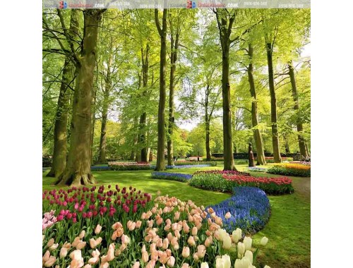 gạch tranh 3d phong cảnh vườn hoa tuylip 107