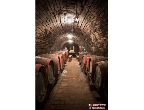 Tranh gạch mẫu hầm rượu gỗ sồi cổ pt901