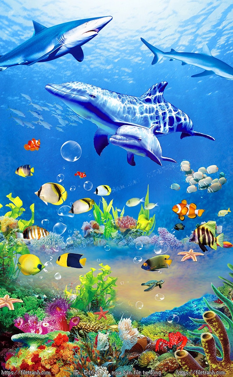Bộ sưu tập hình nền đại dương 3D độc đáo với hơn 999+ ảnh  – Lựa chọn hoàn hảo cho hình nền đỉnh cao độ phân giải 4K