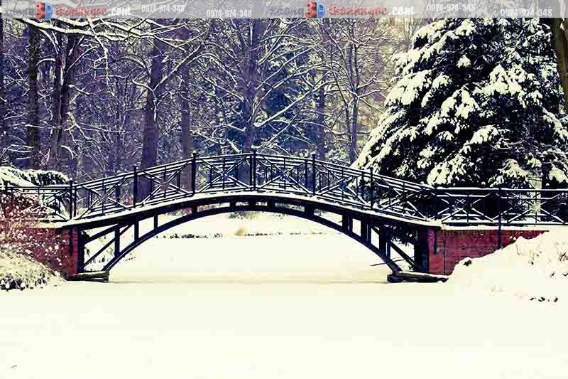 Phong cảnh Gyeonggido vào mùa tuyết rơi 2023  GoKorea