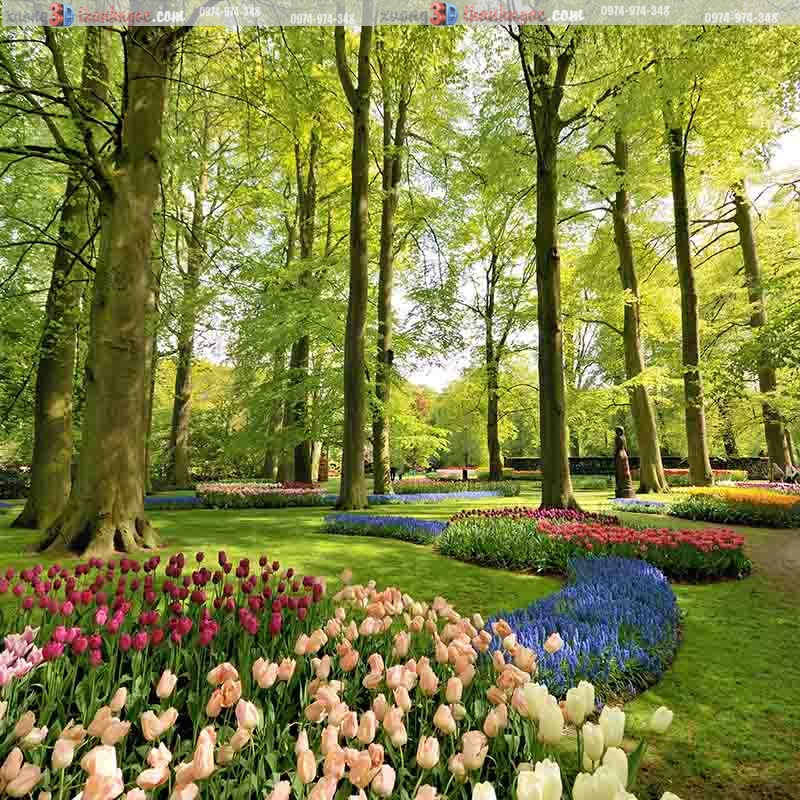 gạch tranh 3d phong cảnh vườn hoa tuylip 107